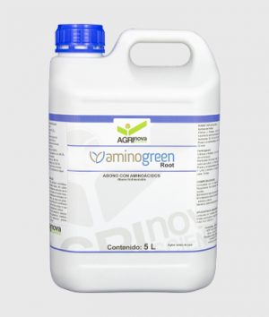 aminogreen root