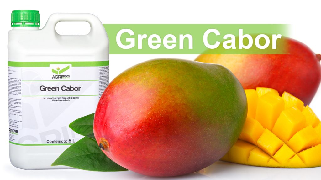 Aplicación de Green Cabor en mango