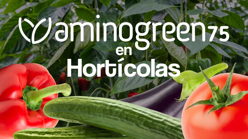 Aminogreen 75 en cultivos hortícolas