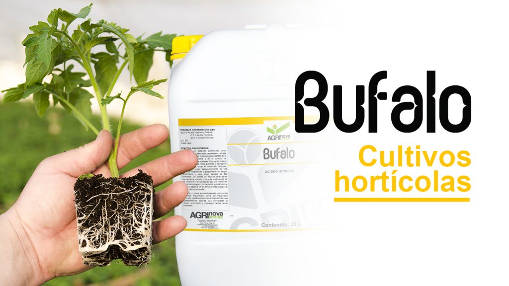 Experiencias en cultivos hortícolas con BUFALO