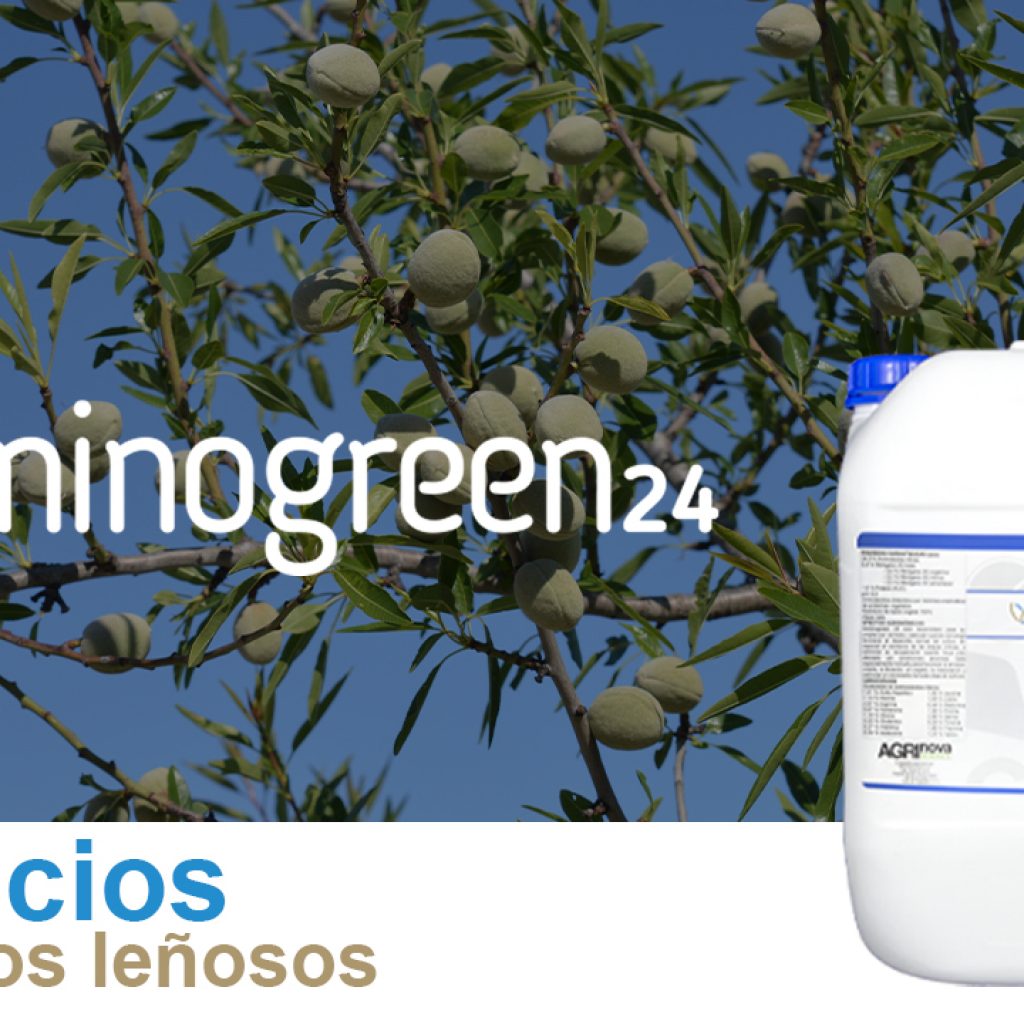Aminogreen 24 en cultivos leñosos