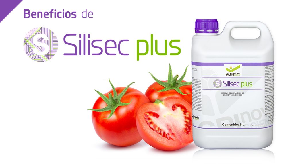 Beneficios del producto Silisec Plus