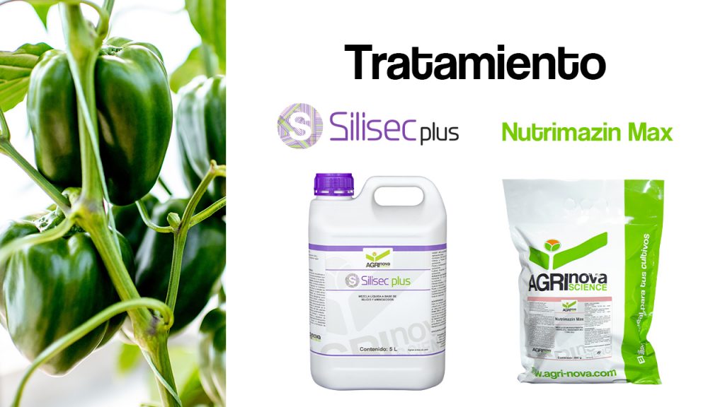 Tratamiento con Silisec Plus y Nutrimazin Max
