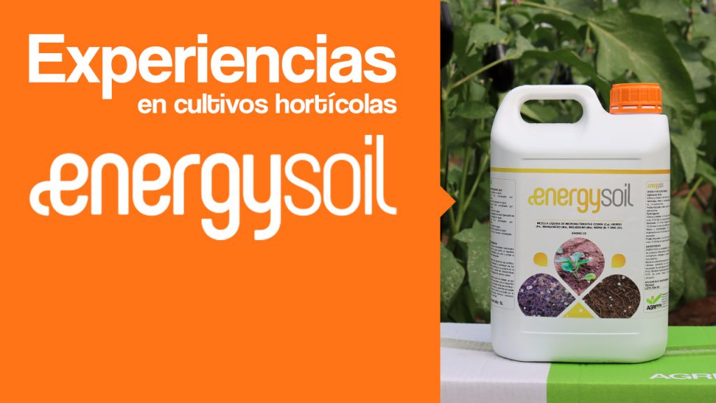 Experiencias en cultivos hortícolas con Energysoil