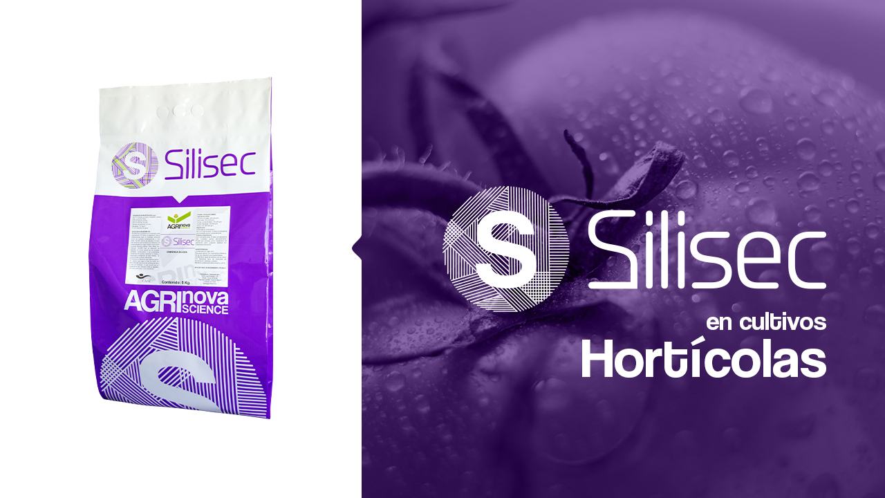 Producto SILISEC en cultivos hortícolas
