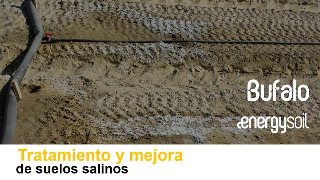 Cómo mejorar suelos con problemas de salinidad