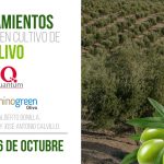 Charla técnica: Tratamientos de otoño en olivo