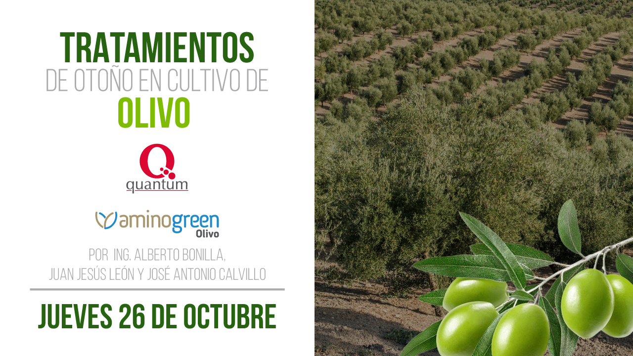 Charla técnica: Tratamientos de otoño en olivo