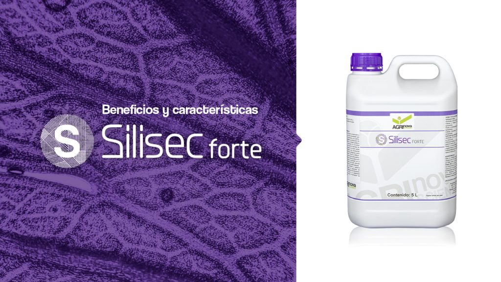 Fertilizante fortificante Silisec forte