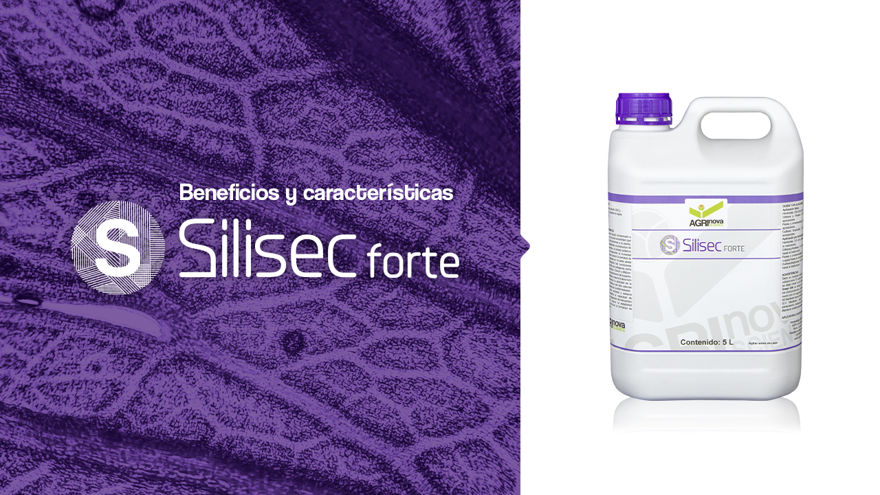 Fertilizante fortificante Silisec forte