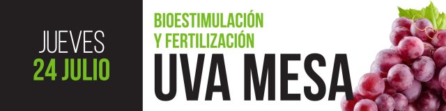 diseño2-2025-JULIO-01