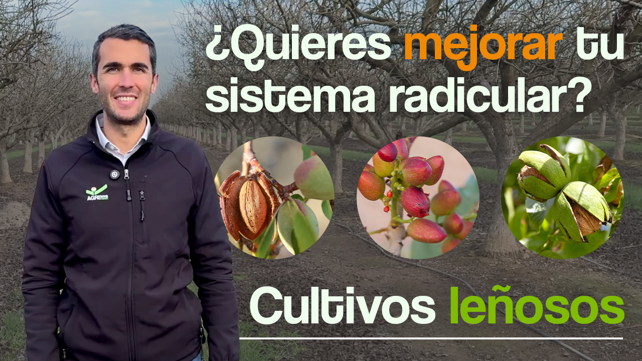Enraizantes en cultivos leñosos