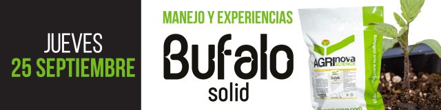 diseño2-2025septiembre