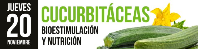 diseño2-2025nov diseño2-2025nov