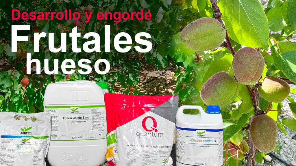 Engorde en frutales de hueso