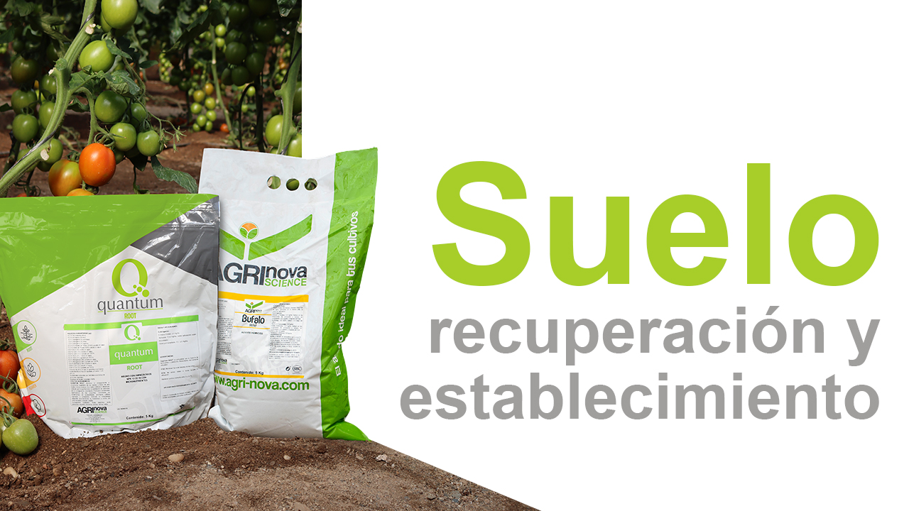 Recupera los suelos y asegura el establecimiento de tu cultivo