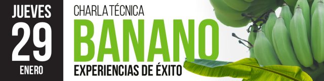 diseño2-2026en