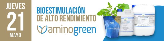 diseño2-2026mayo