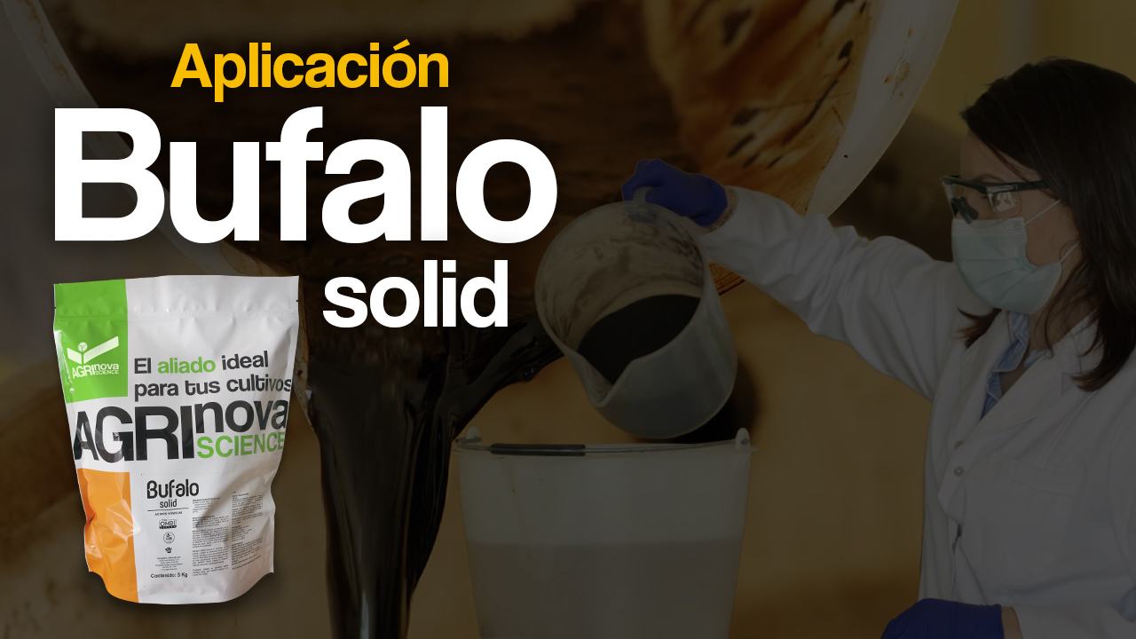 Aplicacion-Bufalosolid2