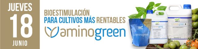 diseño2-2026juni