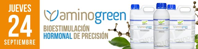 diseño2-2026sept